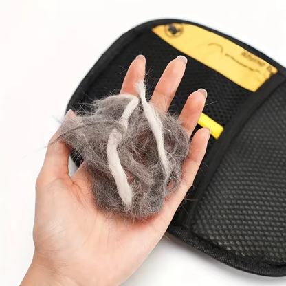 Magična Pet Četka