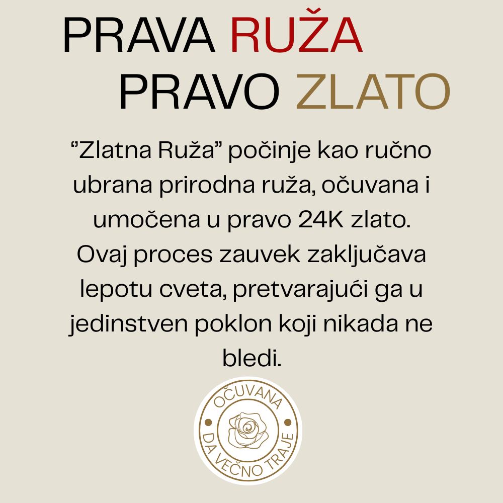 Zlatna Ruža 1