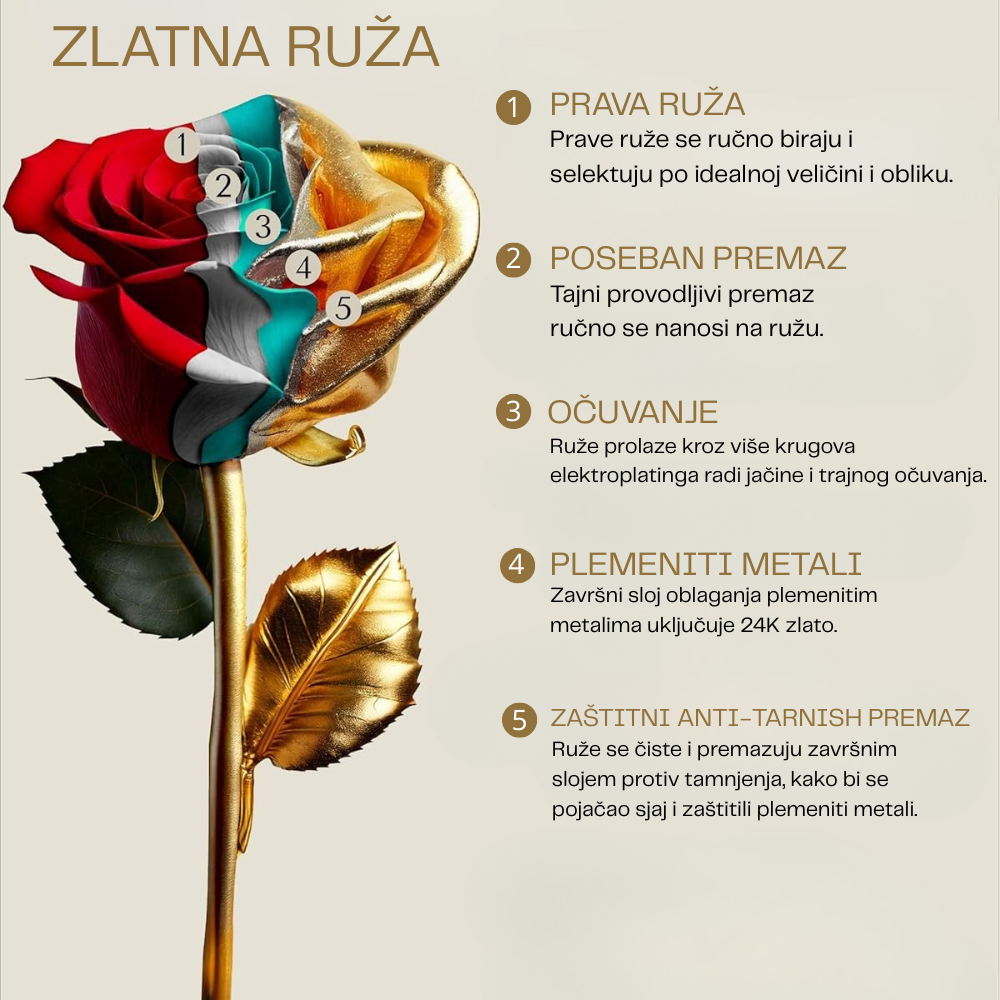 Zlatna Ruža 1